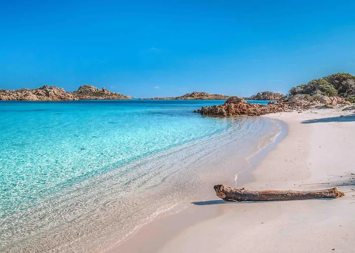 公寓 Residenza Via Roma 5a 马达莱纳